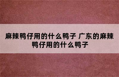 麻辣鸭仔用的什么鸭子 广东的麻辣鸭仔用的什么鸭子